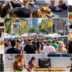【夏日必去】多倫多最潮街頭節OssFest回歸!免費音樂、小食市集 寵物都行得!