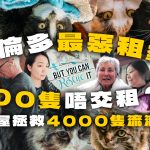 【多伦多百猫屋/有片】38年守护逾4000流浪猫 华人义工亦步亦趋踏雪来
