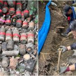 沖繩島戰役|本島山林挖出約50具人骨 估計是二戰士兵遺骸