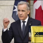 國會3個議席補選 今日是提前投票最後一日