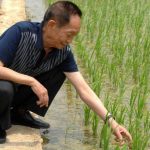杂交水稻之父袁隆平成就遭诋毁 200万粉丝网红被无限期封号