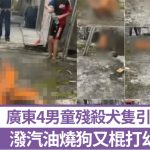 虐待动物 | 广东4男童残杀犬只引怒火 泼汽油烧狗又棍打幼犬