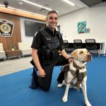 荷顿警队迎来神奇侦测犬 一只狗鼻嗅出手机、硬碟