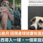 世界杯奇迹!失踪逾一个月宠物狗现身球迷直播 主人惊喜认出成功寻回