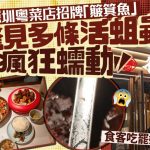 北上注意︱深圳粤菜店簸箕鱼冒出多条活蛆 食客吃完才见到超崩溃︱有片