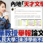 天才文学少女︱清华教授指蒋方舟论文抄袭 人民大学:注释不规范未涉学术不端