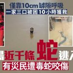 广西洪灾|一家三口靠10cm空隙呼吸被困10小时获救 养蛇场近千蛇出逃伤人|有片