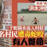 廣西洪災︱女村民遭毒蛇咬死 祖傳蛇葯診所成熱搜