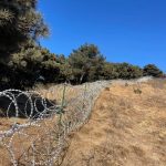 泰山景区筑135公里“刀片铁丝网”被轰煞风景伤动物 官方:将有序拆除