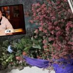 西安赛格商场︱店舖老板传遭千万违约金逼死 专班通报调查结果