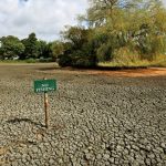 世纪热浪︱英格兰近四分之三地区进干旱状态 2700万人用水受限
