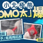 日本小北极熊“MOMO太”萌爆 对雪糕筒情有独钟 抢输还对妈妈还手