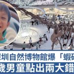 深圳自然博物馆|7岁醒目男童点出两大“虾碌” 纠错获馆方感谢并整改|有片
