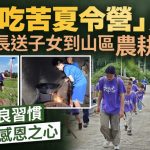 吃苦夏令营|家长贴钱送仔女到农村砍柴喂猪 万元感受劳动30日︱有片