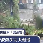 广西山泥倾泻一排树木“兜头劈” 阿伯施凌波微步完美避过︱有片