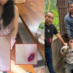 中国女曼谷误上贼车拟送泰缅边境 检查站跳车自救涉案4男全落网