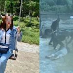 箍煲失败︱湖北男怒刺女友数十刀 确认未死再补刀遭判死刑
