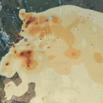 【卑诗山火】全省仍有102处活跃火点 干旱持续恶化主火场未脱离险境
