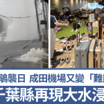 台风杜鹃袭日|千叶县再现大水浸 JR往东京停开成田机场变“难民营”