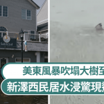 美东风暴|新泽西民居水浸惊现鲨鱼游弋 纽约麻省塌树酿2死|有片