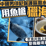 涉印尼猎食受保护玳瑁 华汉被起诉罪成可囚15年|有片