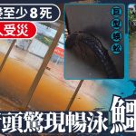曼谷水浸|致23死超180万人受灾损失逾$25亿 鳄鱼出逃民众街头冲浪