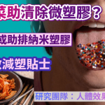 食泡菜清除微塑胶?研究揭乳酸菌或助排纳米塑胶 附减塑实用贴士