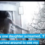 惊 家中圣诞树突然自燃