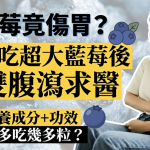 吃藍莓竟傷胃?母子吃超大藍莓後雙雙腹瀉求醫 醫生揭4大功效+每日建議食用量