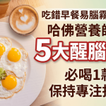 吃错早餐易脑雾难集中!哈佛营养师推介5大醒脑早餐 必喝1款饮品保持专注抗焦虑