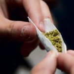 聯邦周五引入新法案 擬封存普通大麻案底
