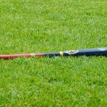 士嘉堡棒球棍伤人凶徒两人在逃 两兄弟落网