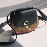 Chloe平替! Coach Remi网红拼色小猪包$179